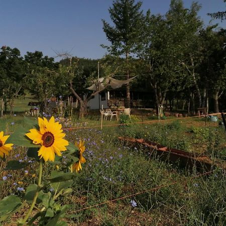 nickland Villa San Sebastiano Curone Dış mekan fotoğraf